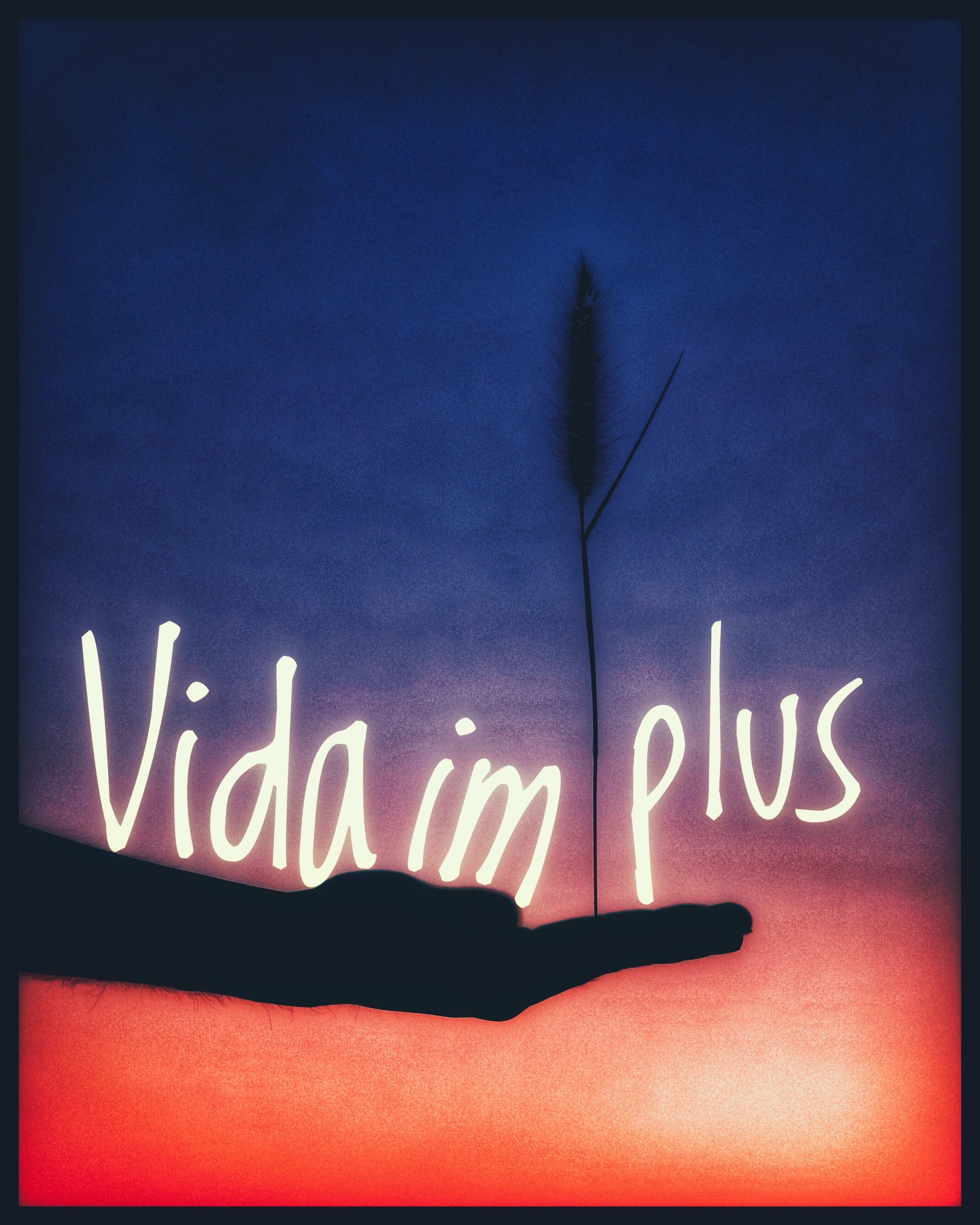 Vida im Plus